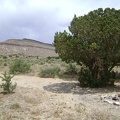 And there is a nice secluded campsite up here, again with a juniper tree