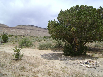 And there is a nice secluded campsite up here, again with a juniper tree