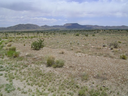 Here's the road that hugs the fence and connects this segment of the old Mojave Road with Cedar Canyon Road