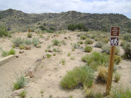 Behind the Bert Smith Rock House is a recently built trail down to Rock Springs, Mojave National Preserve