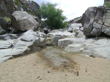 I approach Rock Springs, Mojave National Preserve