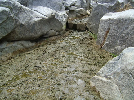 There doesn't  seem to be much here at Rock Springs right now but mud, flies, and a lot of animal excrement