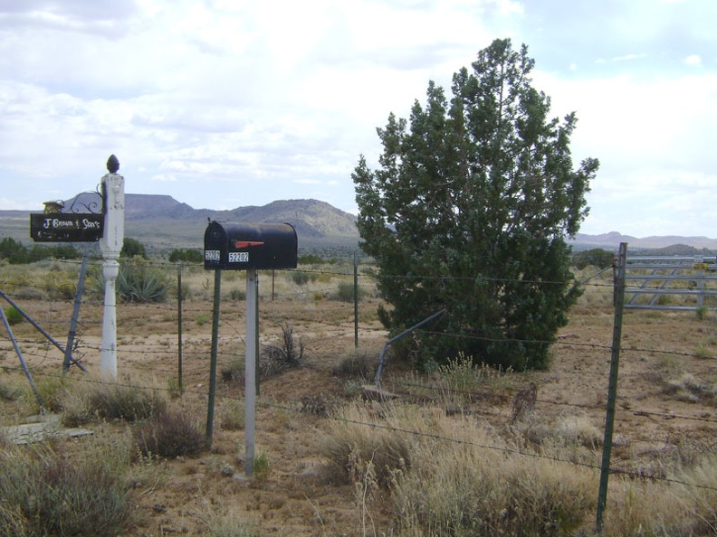 Mailboxes along west New York Mountains Road, Mojave National Preserve