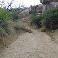 I walk up the dry wash toward Howe Spring, Mojave National Preserve