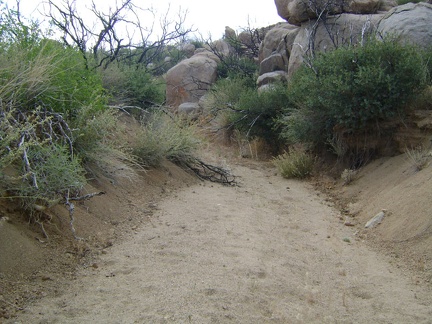 I walk up the dry wash toward Howe Spring, Mojave National Preserve