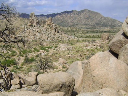 Looking east from Howe Spring across Fourth of July Canyon to the New York Mountains