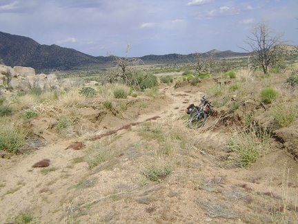 I retrieve the bike and start riding back down Howe Spring Road