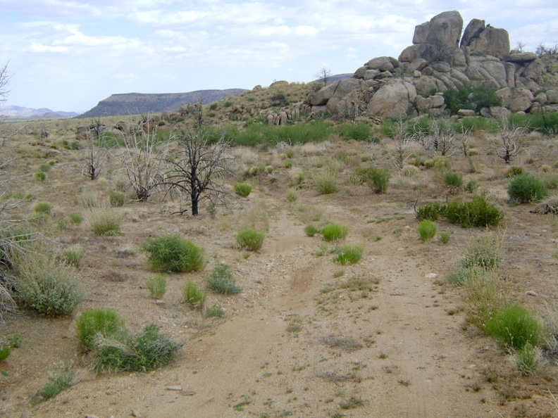 Riding away from Howe Spring, I find myself thinking that, yes, it would be worth camping here one day