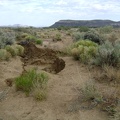 I come upon a severe wash-out and figure that I must have made a wrong turn; I didn't see this on the way to Howe Spring