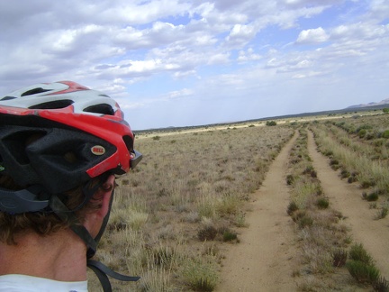 This long, straight stretch of Howe Spring Road makes me feel like I'm somewhere other than the Mojave Desert