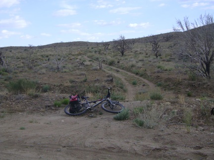 I leave Cedar Canyon Road and ride up the 3/4-mile-long shortcut road to Black Canyon Road