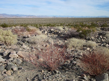 I turn for a look across Crucero Valley as I stumble across the rocky landscape