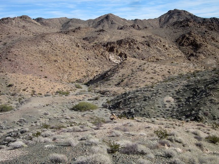 After climbing over a couple of hills, I drop down into a little canyon ahead where I should find Hyten Spring