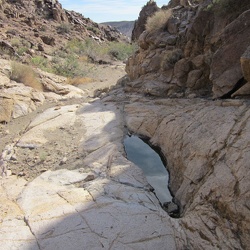 Day 4: Hyten Spring hike, Kelso Dunes Wilderness