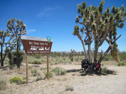 I make a stop at one of the Wee Thump Wilderness signs along Nevada 164