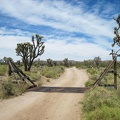 Near the Wee Thump Wilderness sign is an old dirt road that leads inland toward the McCullough Mountains