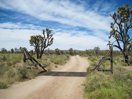 Near the Wee Thump Wilderness sign is an old dirt road that leads inland toward the McCullough Mountains