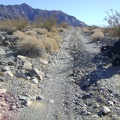 Old Kelso Road occasionally crosses dry washes where it is suddenly rocky instead of sandy