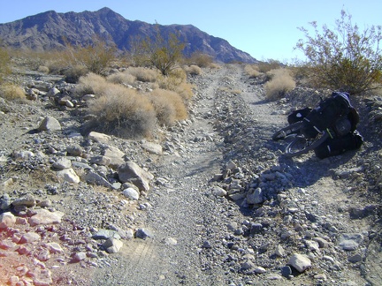 Old Kelso Road occasionally crosses dry washes where it is suddenly rocky instead of sandy