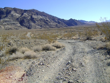 I like this slightly downhill part of Old Kelso Road that heads toward the Old Dad Mountain block