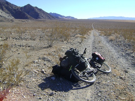 Long and straight, Old Kelso Road heads toward the power lines that I can see three miles ahead, where I'll enter Jackass Canyon