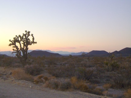 I'm enjoying the fleeting sunset along Kelbaker Road as I slowly approach the summit, looking back to the cinder cones