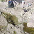 Pumping water at Indian Springs