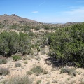 I'll start by hiking 1.5 miles straight across the plateau and down to a wash which I'll follow to Juniper Spring