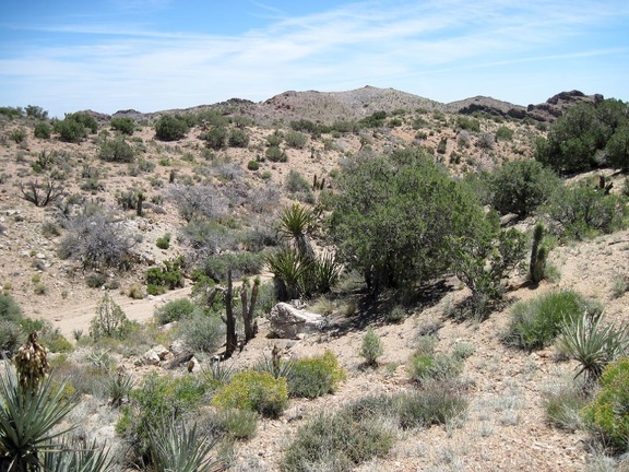 A number of shallow dry washes need to be crossed as I hike &quot;Indian Spring Plateau&quot;