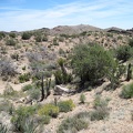 A number of shallow dry washes need to be crossed as I hike "Indian Spring Plateau"