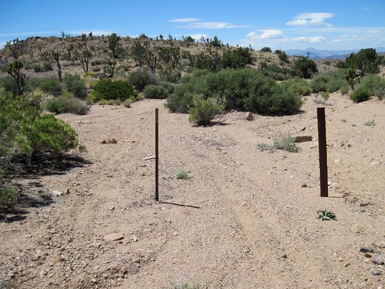 I exit the Wilderness boundary, feebly marked by two nondescript, svelte posts, and arrive at Juniper Spring Road