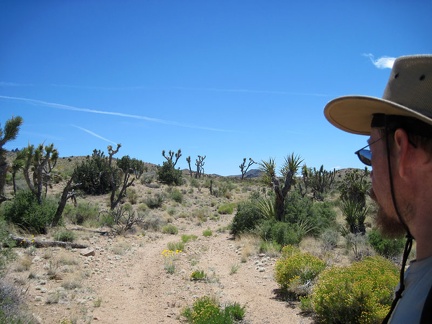 I start walking up Juniper Spring Road