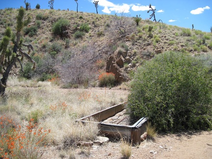 Juniper Spring, Mojave National Preserve; it's dry