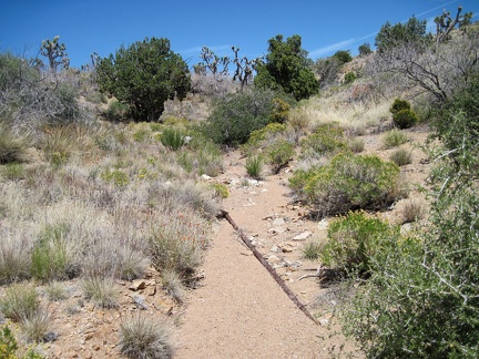 Near the dry Juniper Spring trough is a pipe leading up a wash