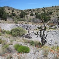 Near Juniper Spring are a few small piles of tailings