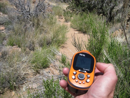 I decide to return to the Juniper Spring wash I descended for the return trip after considering other routes