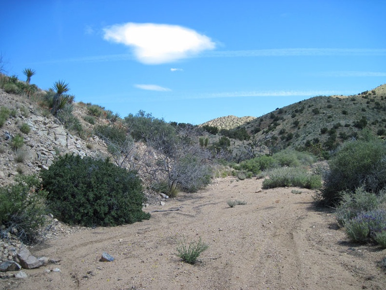 I start the walk back up Juniper Spring wash