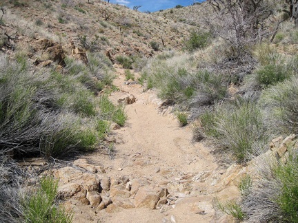 Slowly, Juniper Spring wash rises; easy hiking