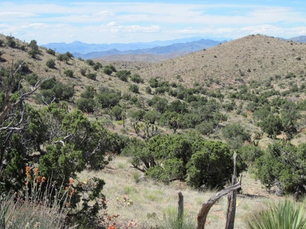 I leave Juniper Spring wash below, and start climbing up a hill toward the Vanderbilt Peak area