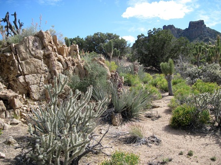 I cross several small washes while hiking the plateau on the way to Indian Spring