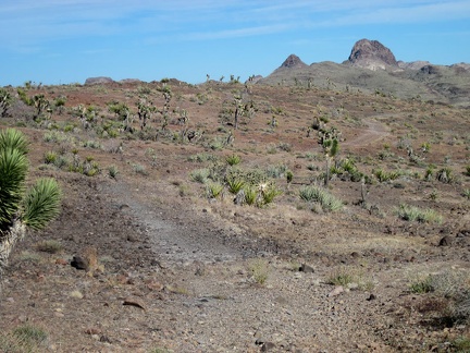 I pass through &quot;the barren area&quot; again while returning to camp on Indian Spring Road