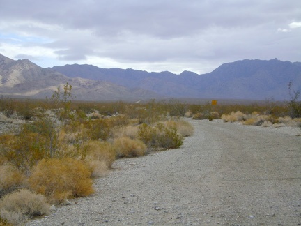 I stop for a moment when I pass the unmaintained Vulcan Mine Road