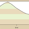 Elevation profile of bicycle route from Kelso Dunes area to Baker via Kelbaker Road