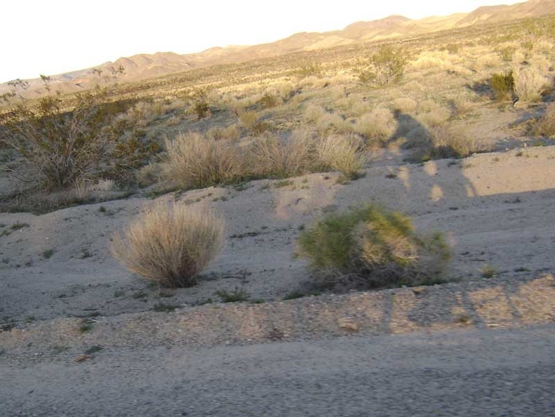 My focus cuts across the slanted world of motion to the hills behind the Indian Springs area, where I camped the first two night