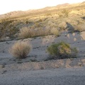 My focus cuts across the slanted world of motion to the hills behind the Indian Springs area, where I camped the first two night