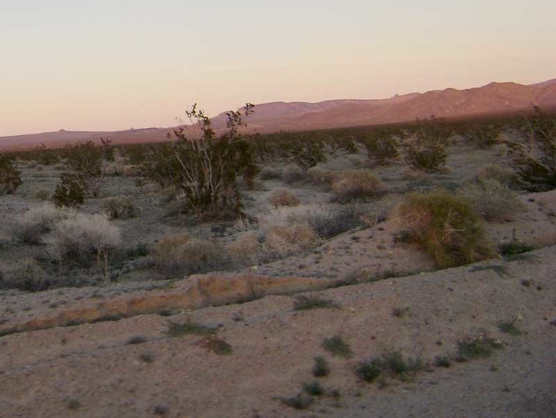 Today's Mojave National Preserve festival of pink, purple and orange is probably the best I've experienced on this trip