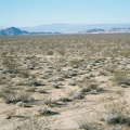 View northwest across the desert toward Soda Lake from Kelbaker Hills