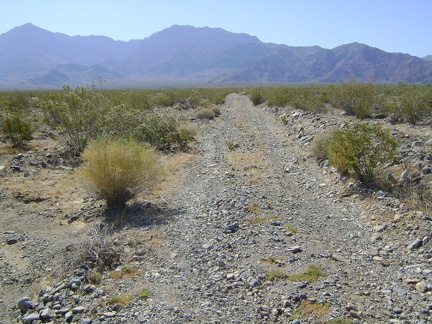 I pack my backpack and start walking up the road toward Cornfield Spring