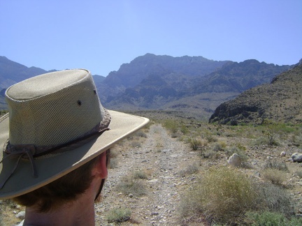 I keep hiking up Cornfield Spring Road and realize that I'm almost out of water already; not good on a hot day like this