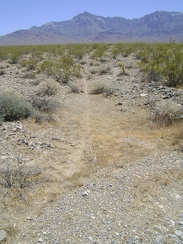 On the way back to my tent, I notice a very distinct animal trail running across the fan